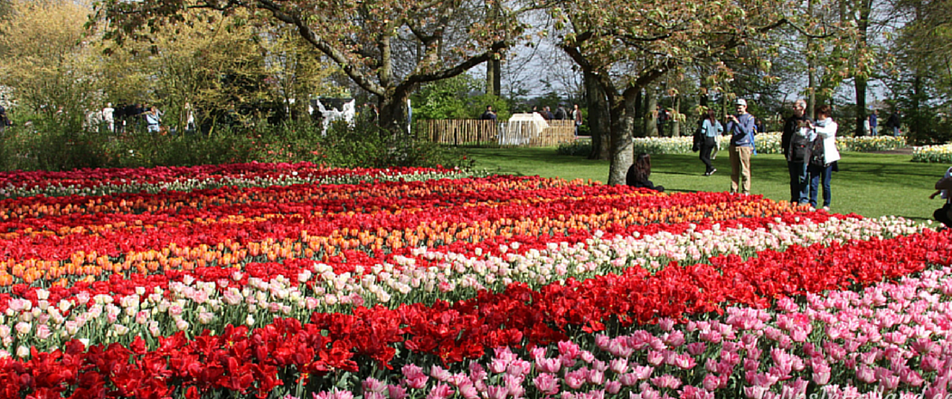 Mejor época para visitar Keukenhof - Tulipanes en Holanda