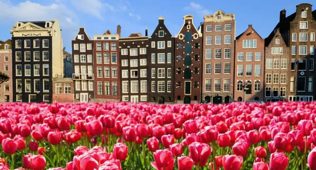 13 mejores cosas para hacer en los Países Bajos en primavera