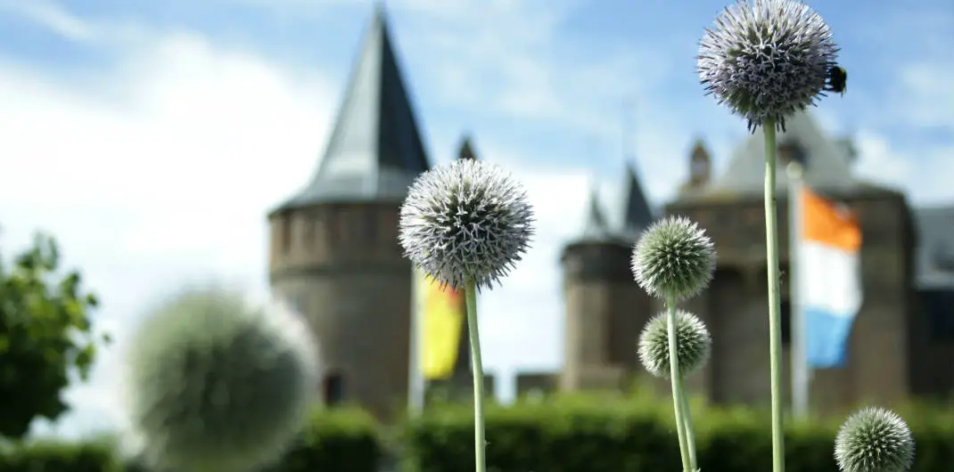 Debes visitar los pueblos más bonitos cerca de Ámsterdam.