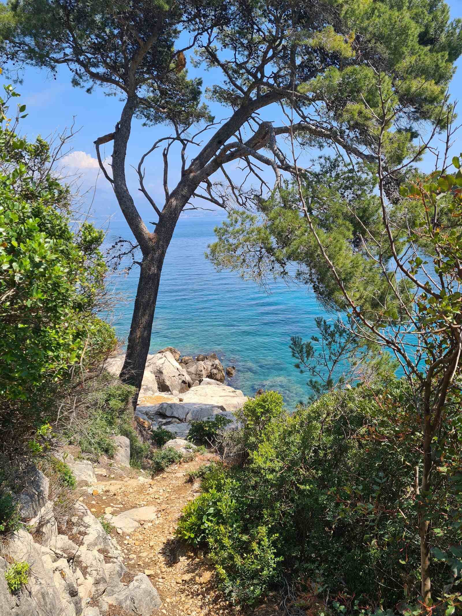 Una excursión de un día a la isla de Lokrum desde Dubrovnik, Croacia: ¡todo lo que necesitas saber!