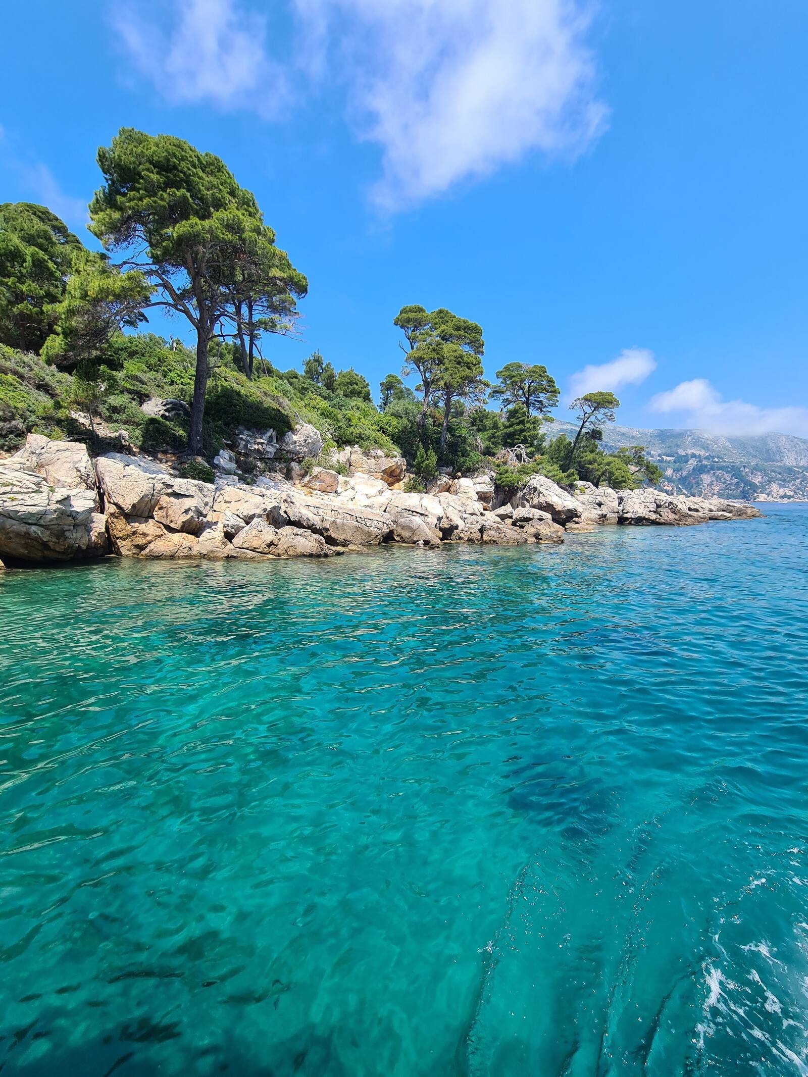 Una excursión de un día a la isla de Lokrum desde Dubrovnik, Croacia: ¡todo lo que necesitas saber!