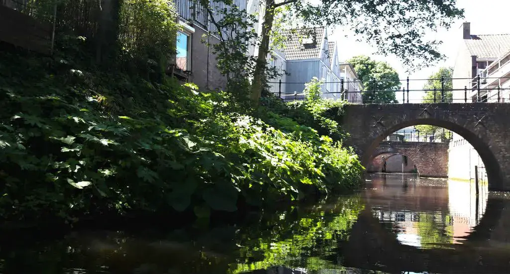 10 cosas que hacer en Den Bosch