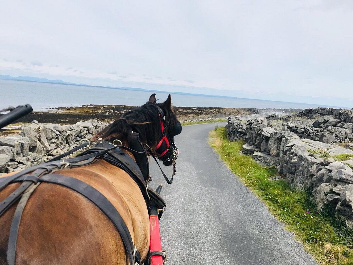 Una guía de Inis Mor (Inishmore) – Inis Mor – Inishmore – Islas Aran
