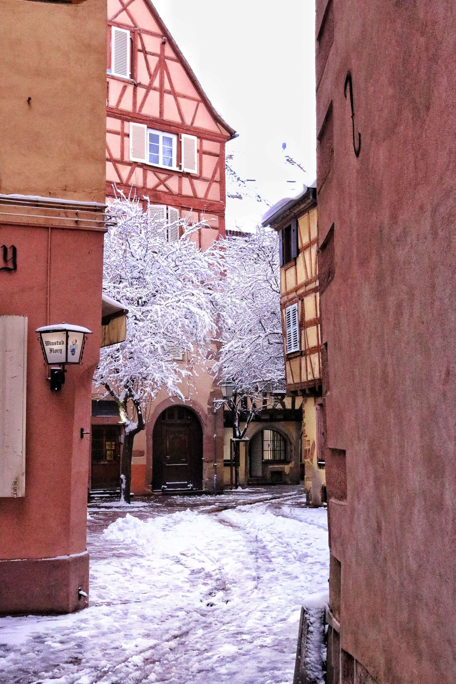 ¿Cuándo es la mejor época para visitar Colmar y dónde tomar las mejores fotos?