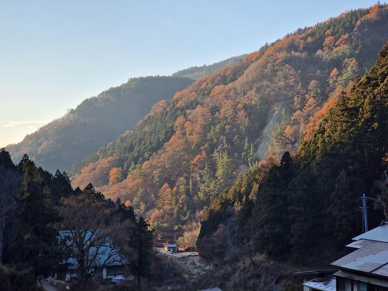 Cómo y dónde ver a los monos de las nieves japoneses en abril.