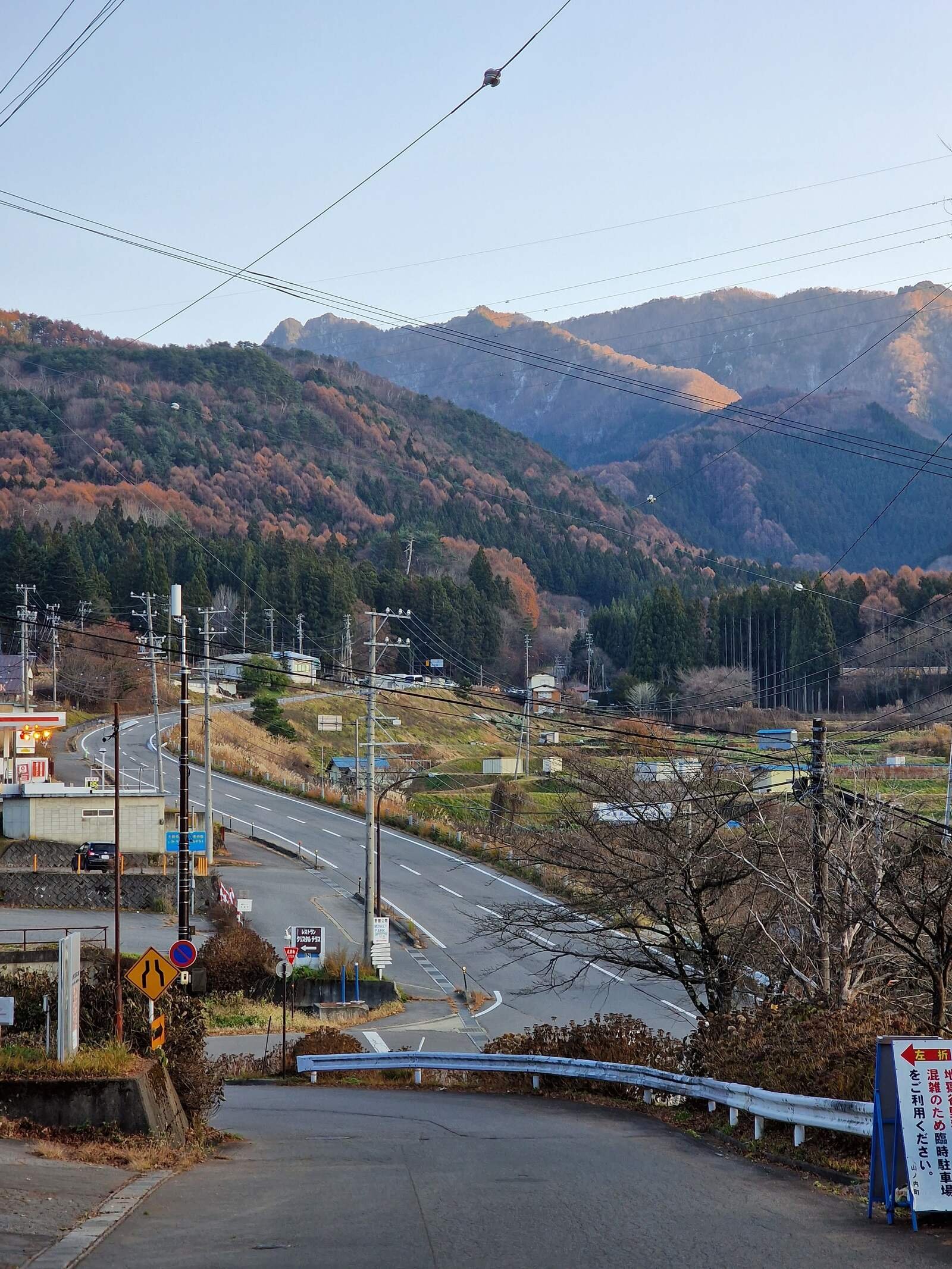 Cómo y dónde ver a los monos de las nieves japoneses en abril.
