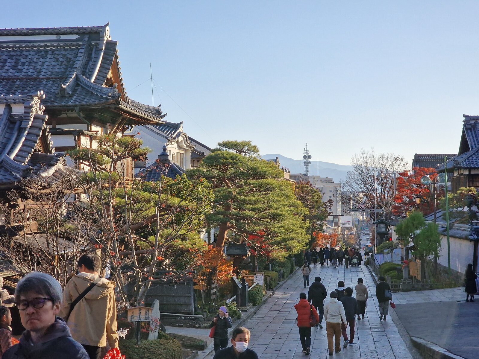 Cómo y dónde ver a los monos de las nieves japoneses en abril.