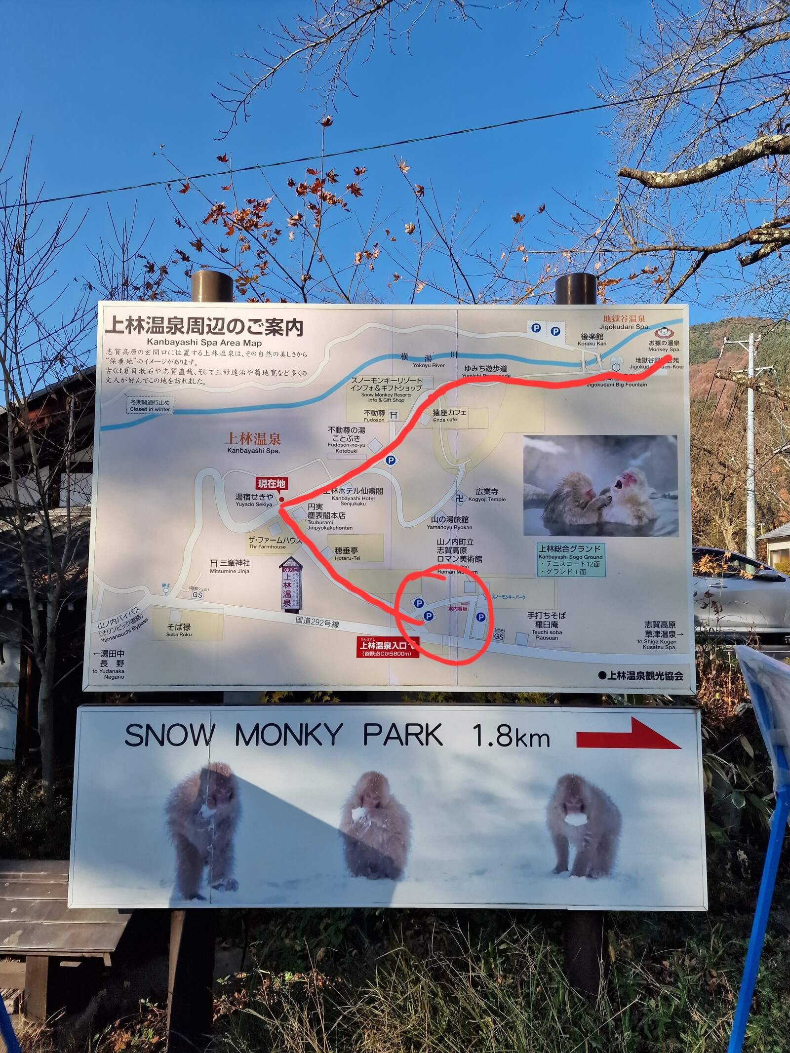 Cómo y dónde ver a los monos de las nieves japoneses en abril.
