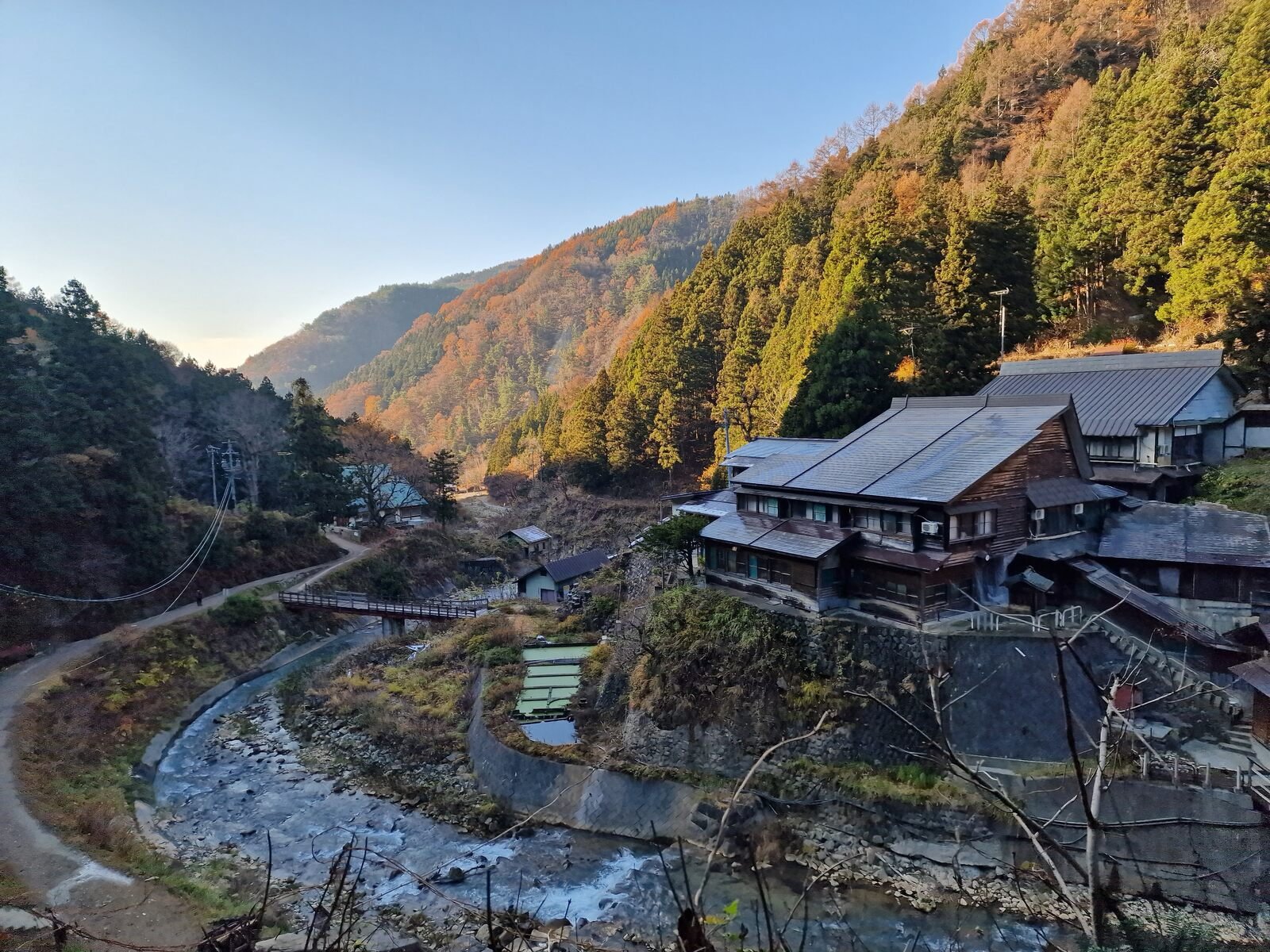 Cómo y dónde ver a los monos de las nieves japoneses en abril.