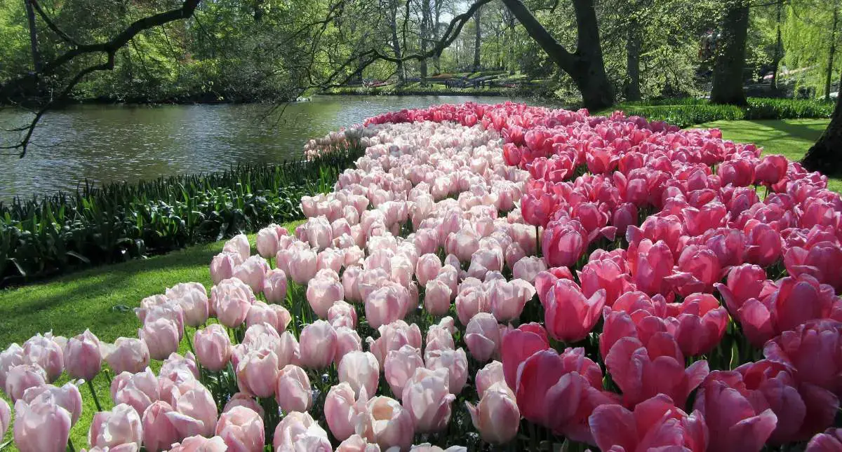 13 mejores cosas para hacer en los Países Bajos en primavera