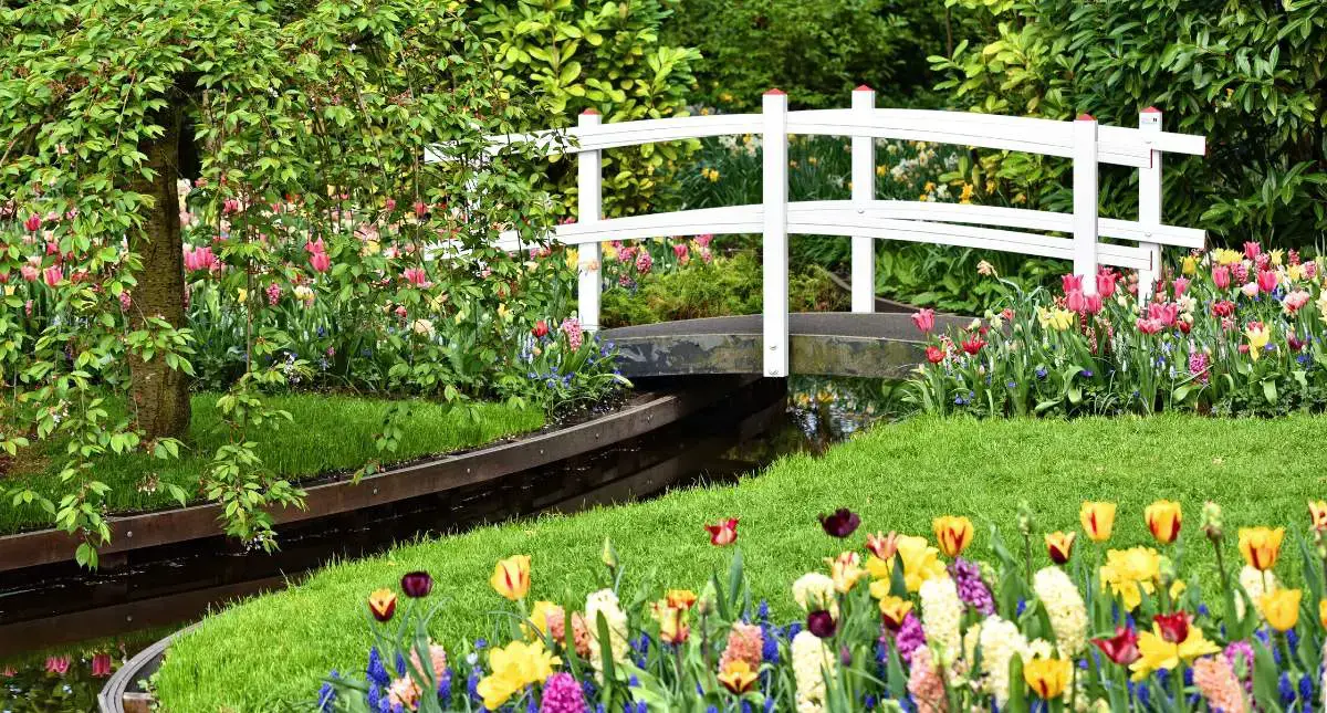 13 mejores cosas para hacer en los Países Bajos en primavera