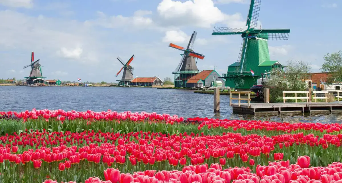 13 mejores cosas para hacer en los Países Bajos en primavera