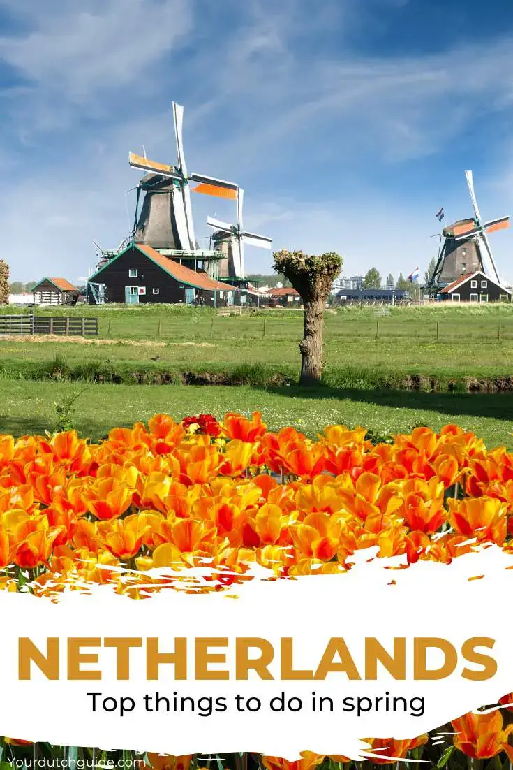 13 mejores cosas para hacer en los Países Bajos en primavera