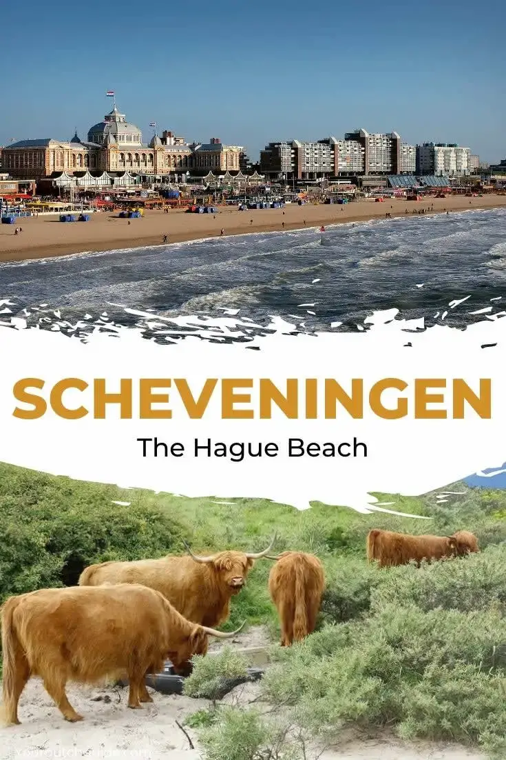 Visita la playa en La Haya: Scheveningen