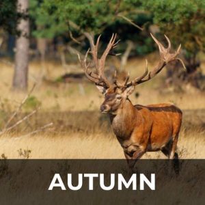Los Países Bajos en otoño | Holanda en otoño | Tu guía de viaje holandesa