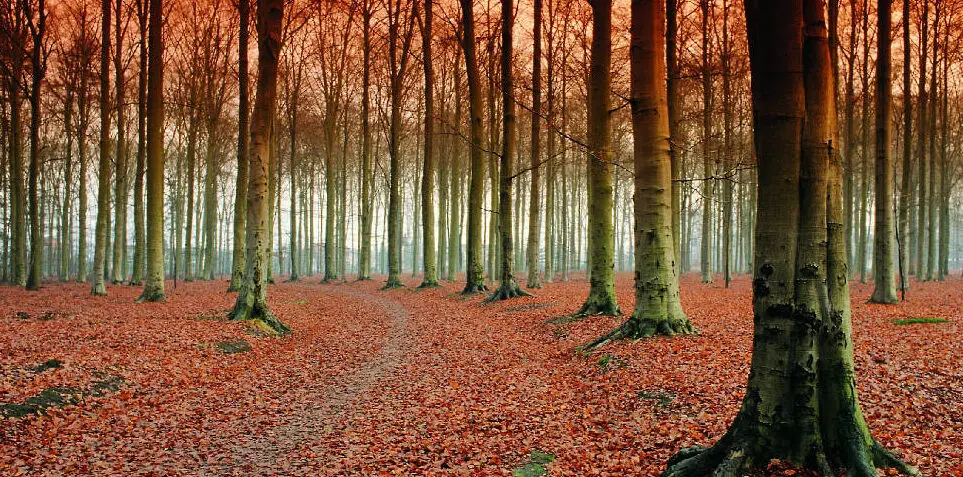 Países Bajos en otoño: 15 cosas que hay que hacer |